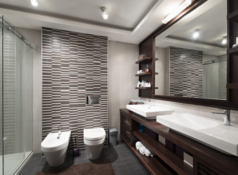 elegant and modern style bathroom
